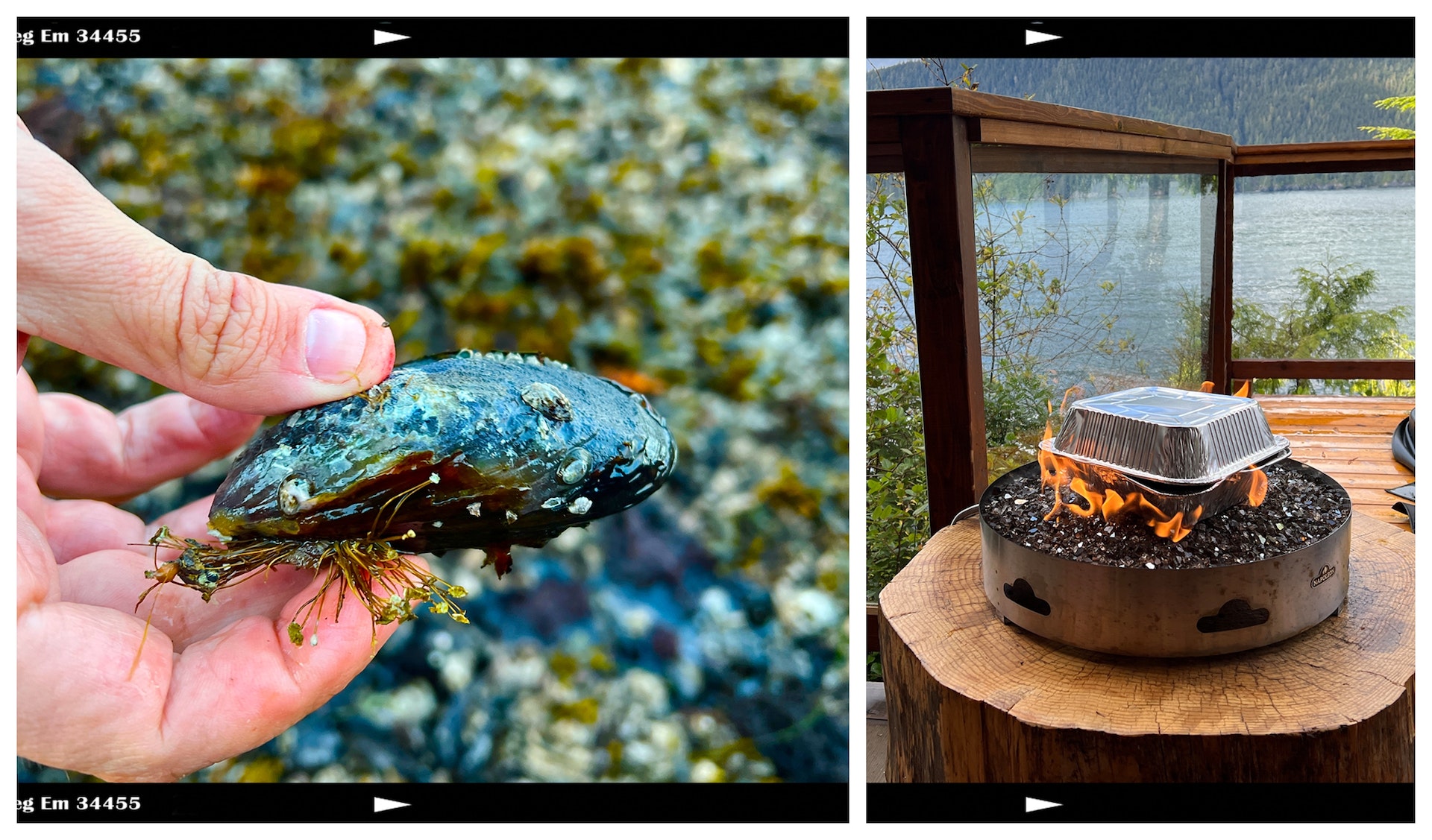 Catching and cooking mussels.jpg