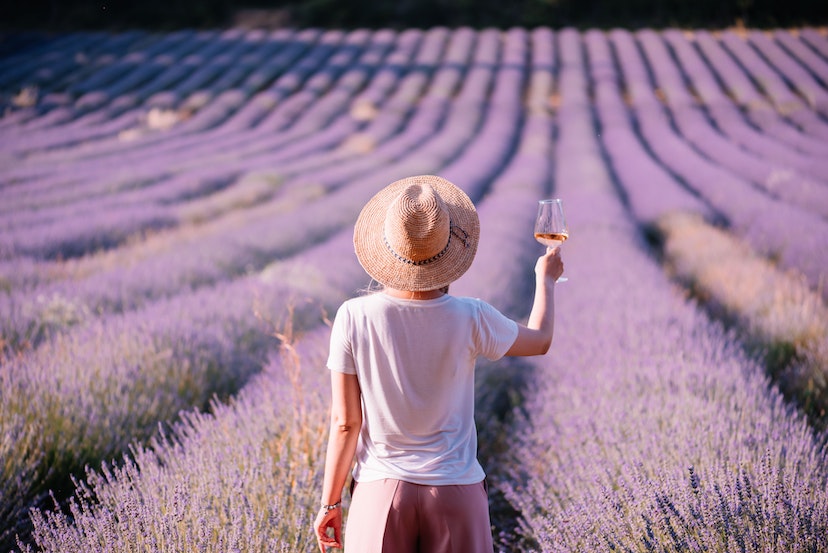 Young woman drink rose wine in the sunset lavender field, standing back to the camera, Provence, south France; Shutterstock ID 702365272; your: Sloane Tucker; gl: 65050; netsuite: Online Editorial; full: France Wine Regions Article